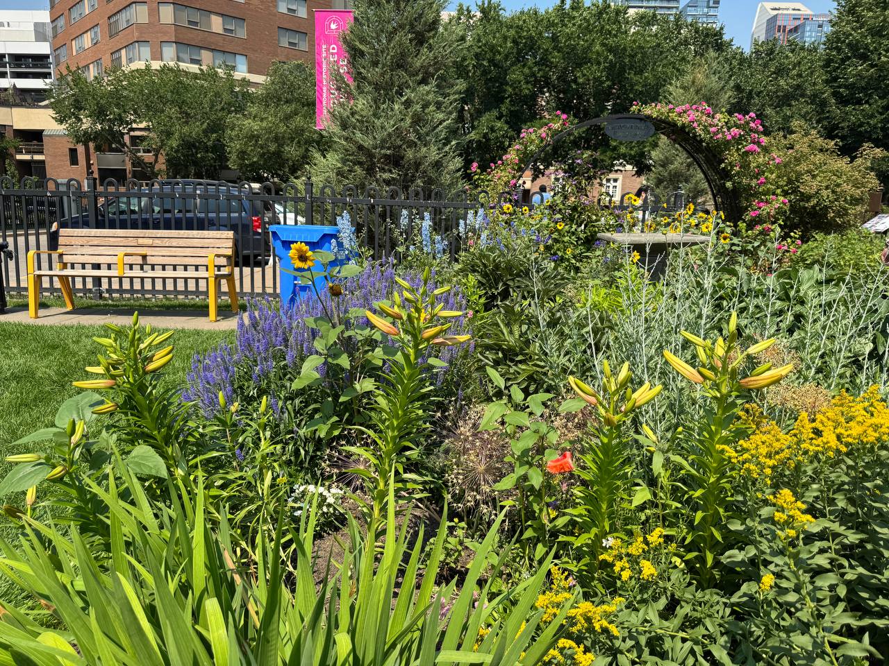 Colourful summer flowers in the Lougheed House gardens